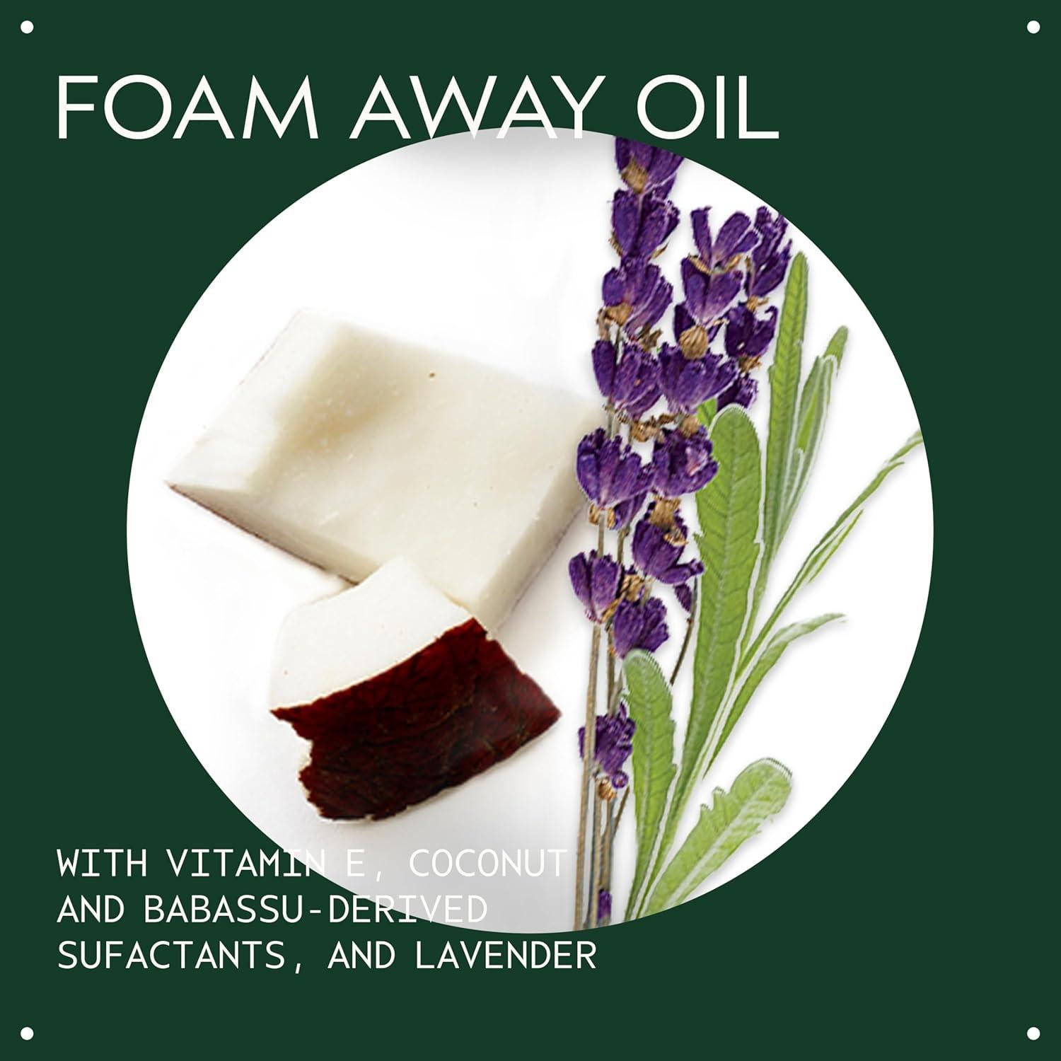 Limpiador en Gel Botánico Aveda 147 ml para Piel Normal a Grasa