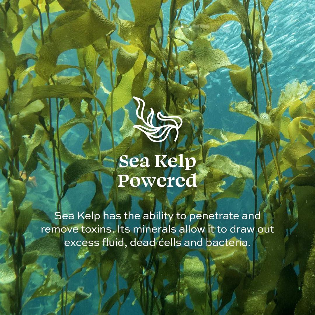 Jabón Corporal Orgánico Aleavia Lavanda 453.6 g - Prebióticos