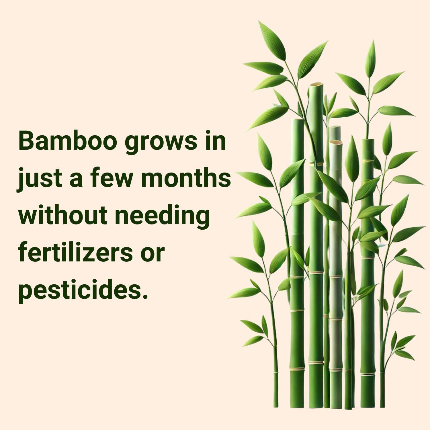 Toallas Faciales Hipoalergénicas MOTHER EARTH XL - 200 Pzas