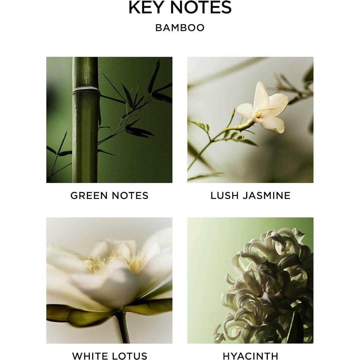 Jabón Líquido NEST Nueva York Bambú 295 ml - Nutre y Limpia