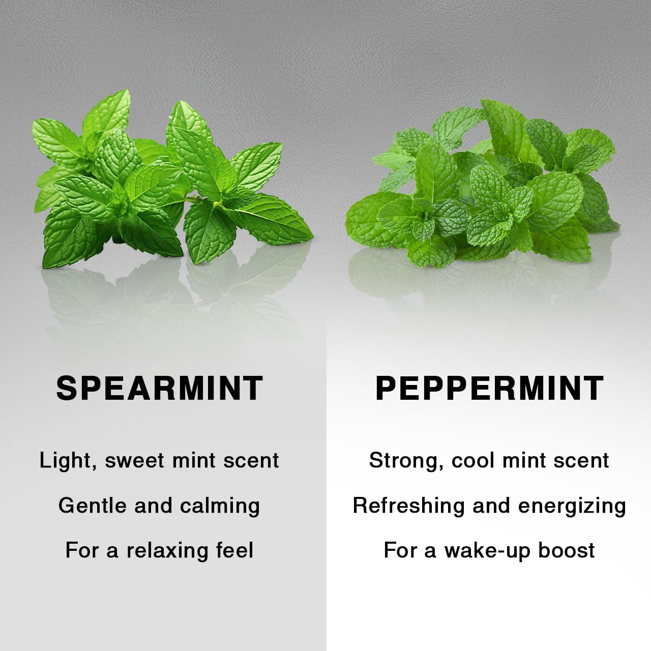 Jabón de Carbón Kitsch 113g - Natural y Vegano, Desintoxicante