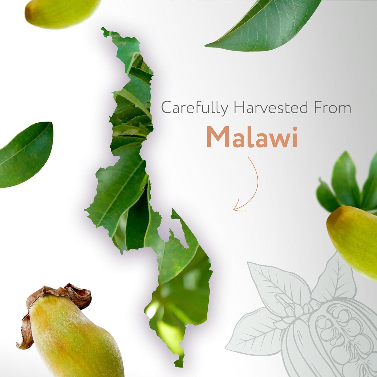 Aceite de Baobab Orgánico HBNO 120 ml Prensado en Frío