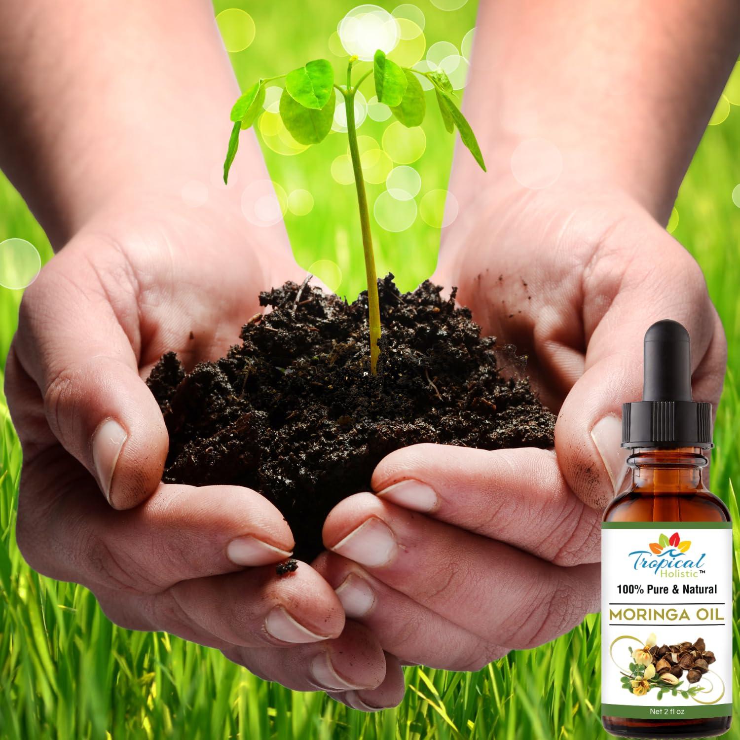 Aceite de Moringa Orgánico Prensado en Frío 100ml - Tropical Holistic