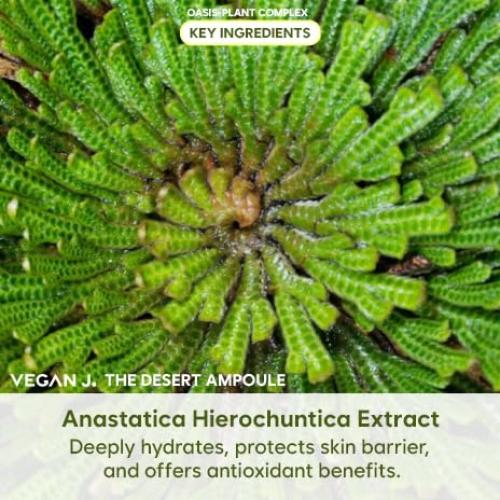 Ampoule del Desierto MoistOasis 47ml - Hidratación Intensiva Vegana