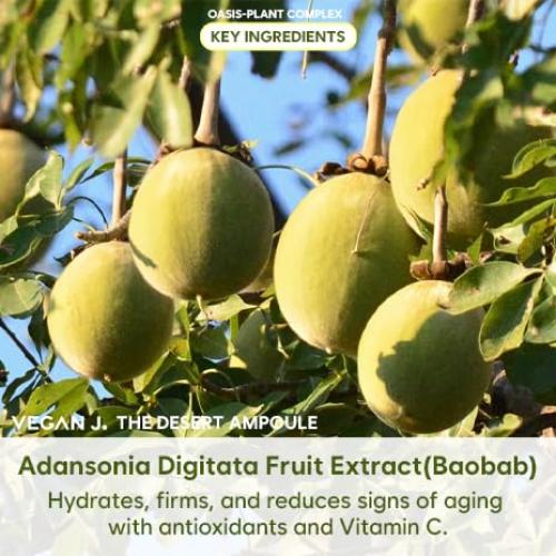 Ampoule del Desierto MoistOasis 47ml - Hidratación Intensiva Vegana