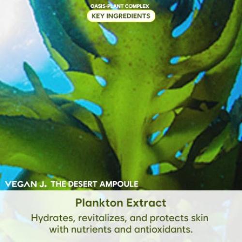 Ampoule del Desierto MoistOasis 47ml - Hidratación Intensiva Vegana