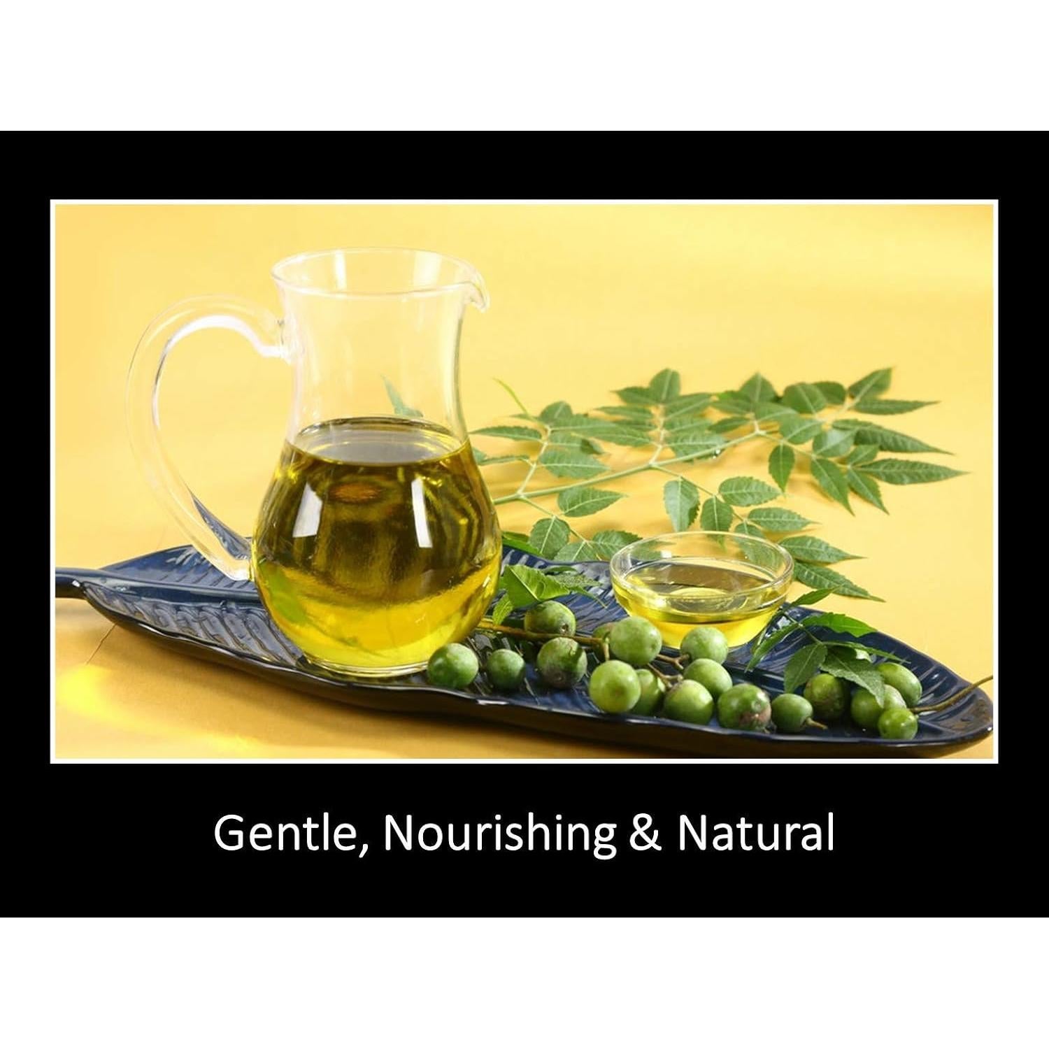 Aceite de Neem Orgánico Daana 118.3 ml - Piel y Cabello