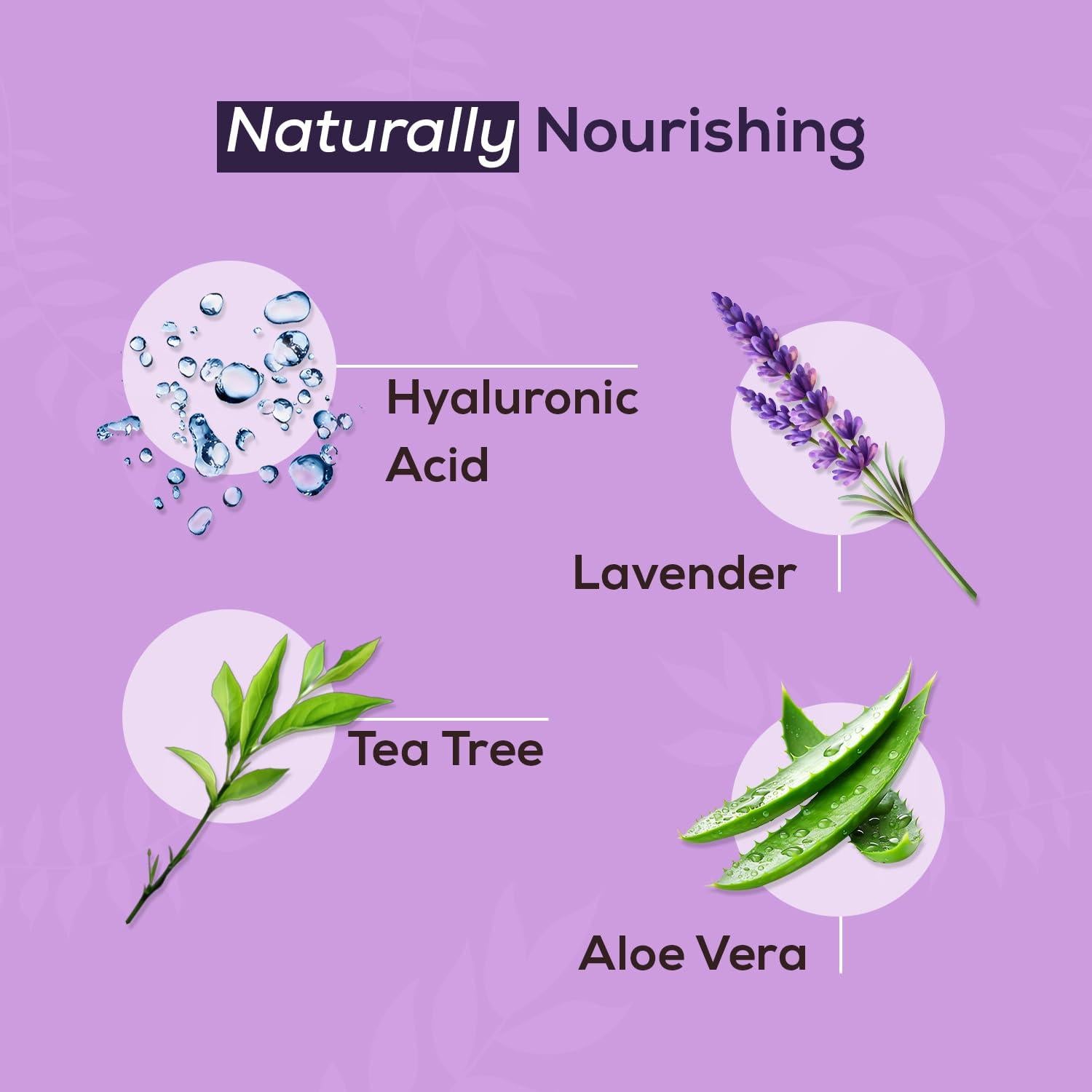 Limpiador Espumoso de Párpados NOVEHA 100ml con Lavanda y Árbol de Té