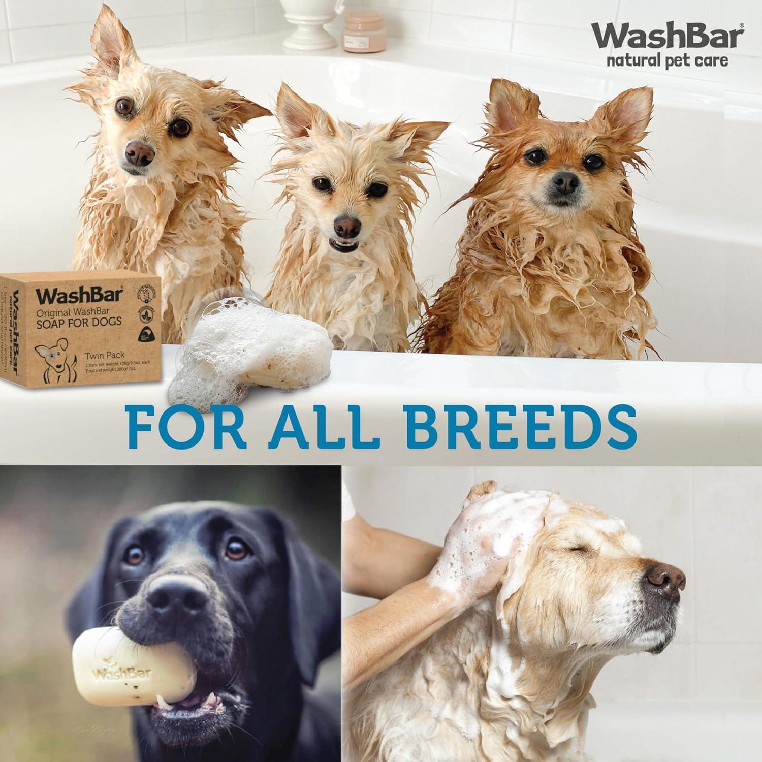 Champú Natural para Perros Washbar - 2 Barras de 100g - Alivio Picazón