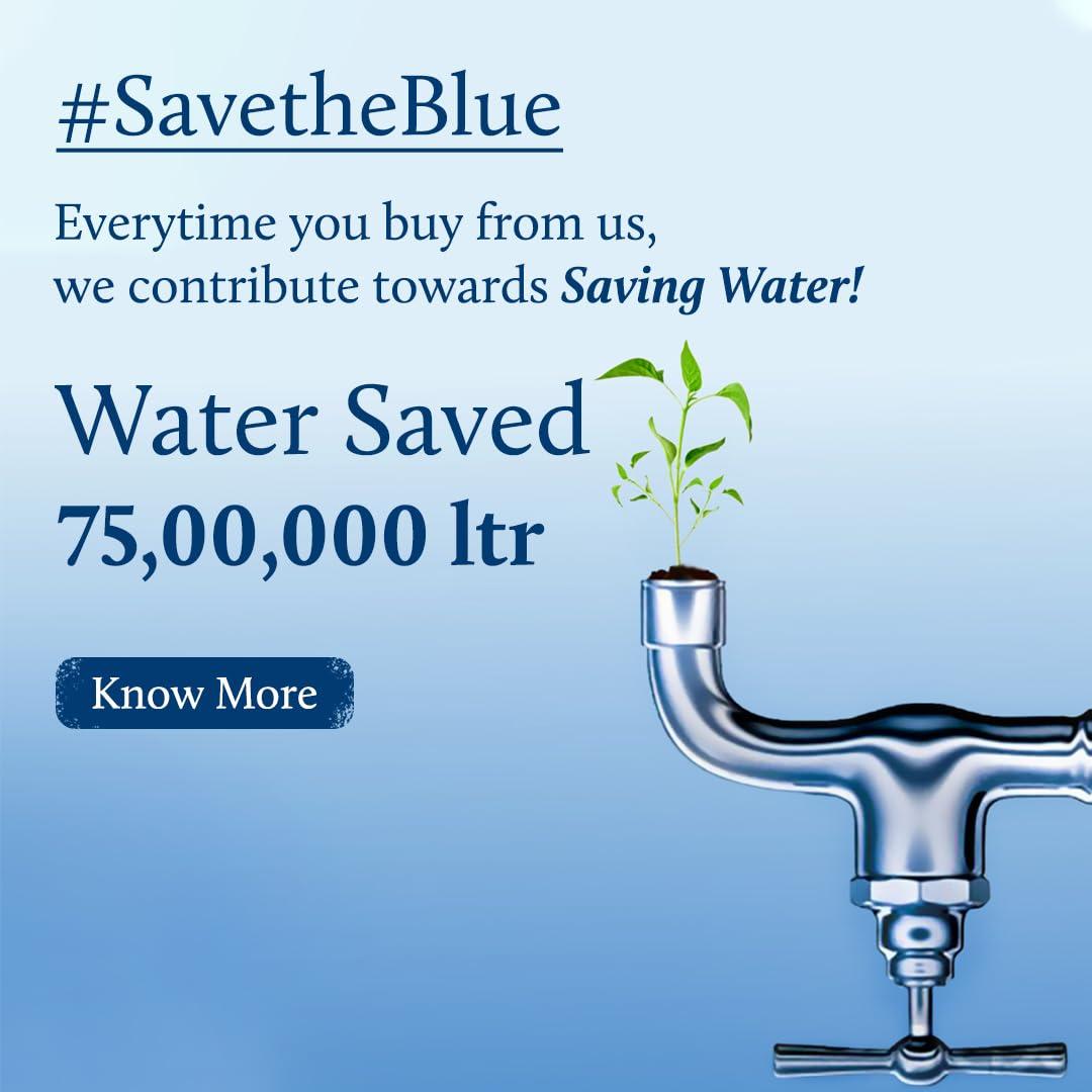 Limpiador Facial Blue Nectar 100 ml con Vitamina C y Neem