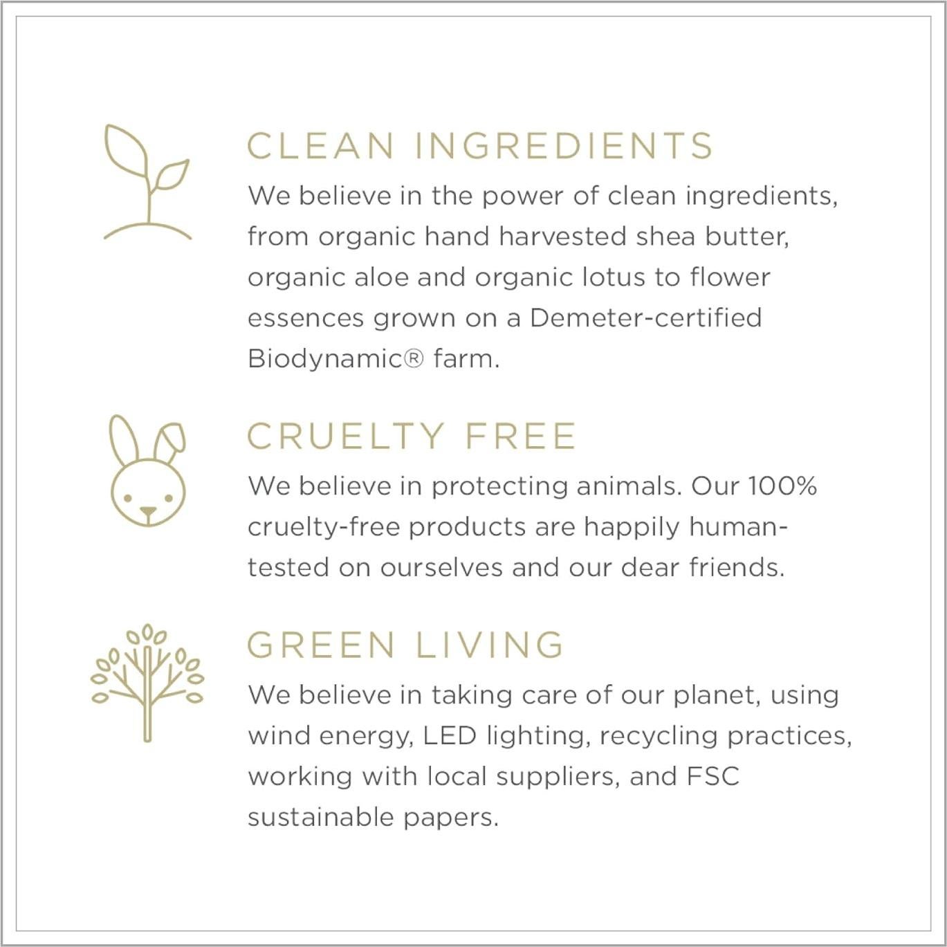 Jabón Hidratante Zents Tierra 162 g | Triple Milled Orgánico