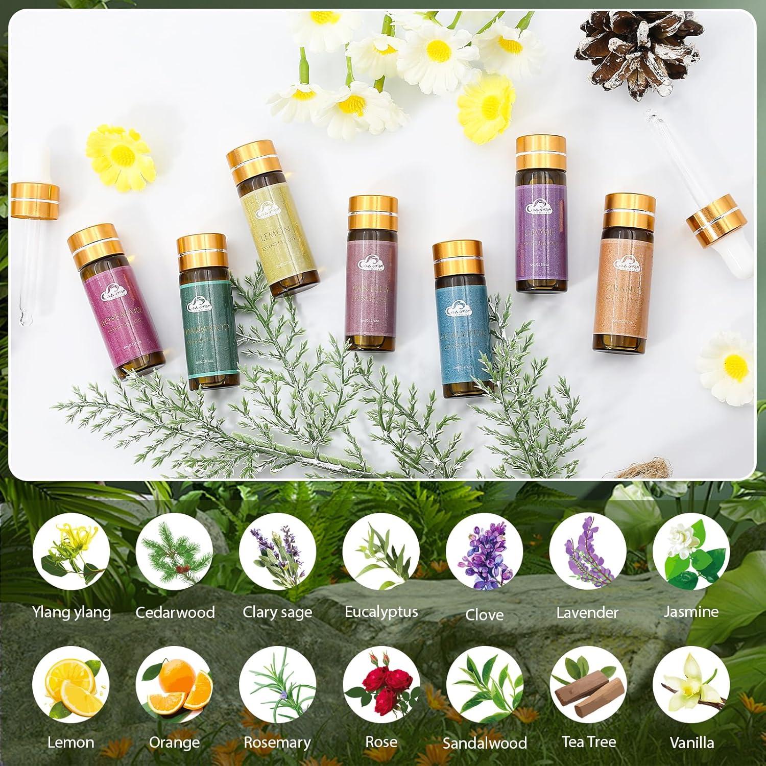 Juego de 14 Aceites Esenciales Comdian 5mL - Aromaterapia
