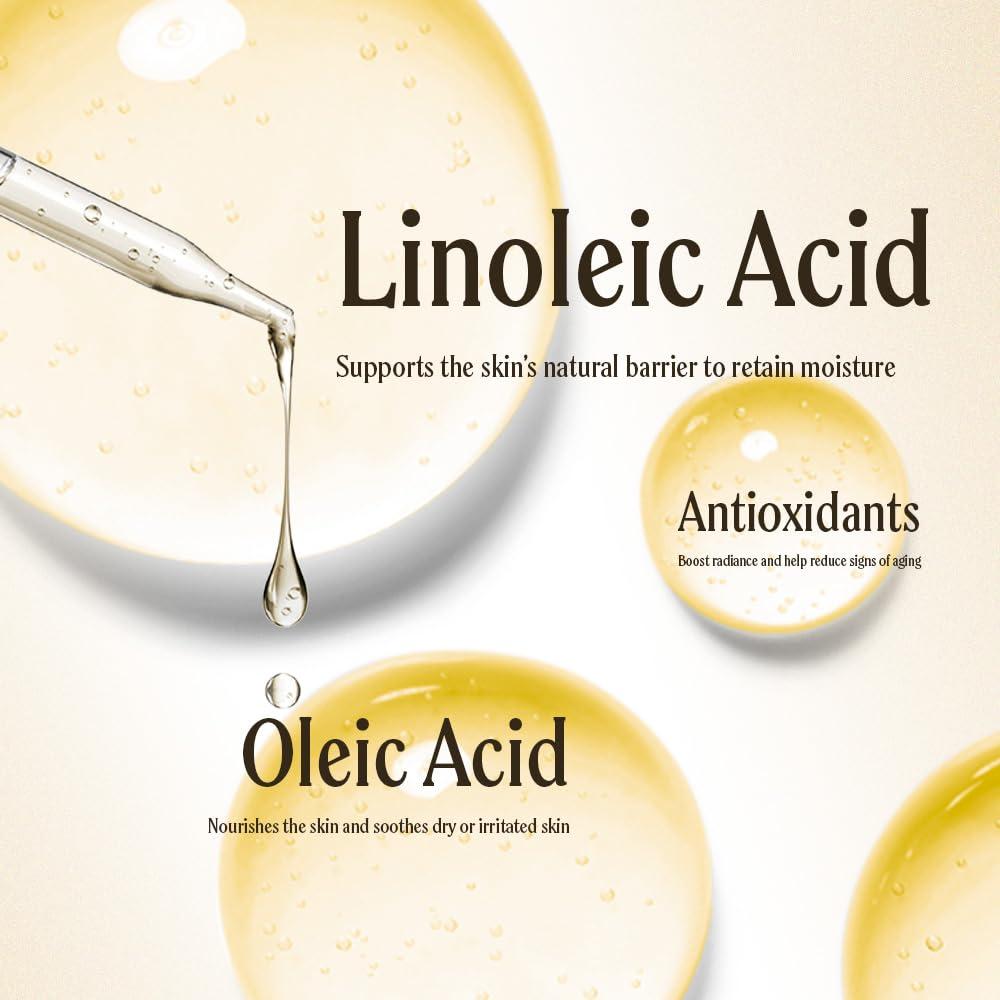 Aceite de Camelia 100% Puro Well's 60ml - Hidratante Antienvejecimiento