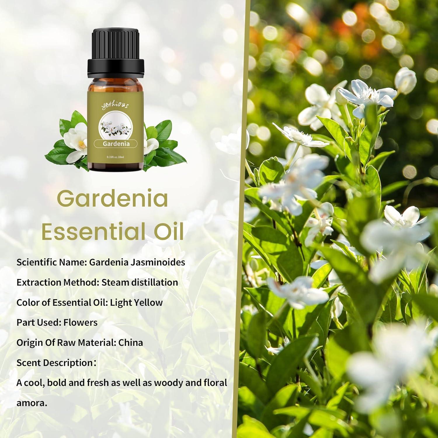 Aceite Esencial de Gardenia Yethious 100% Puro 9.8 ml
