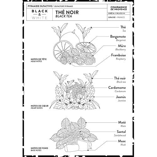 Crema de Manos Lujo Compagnie de Provence Té Negro 295 ml