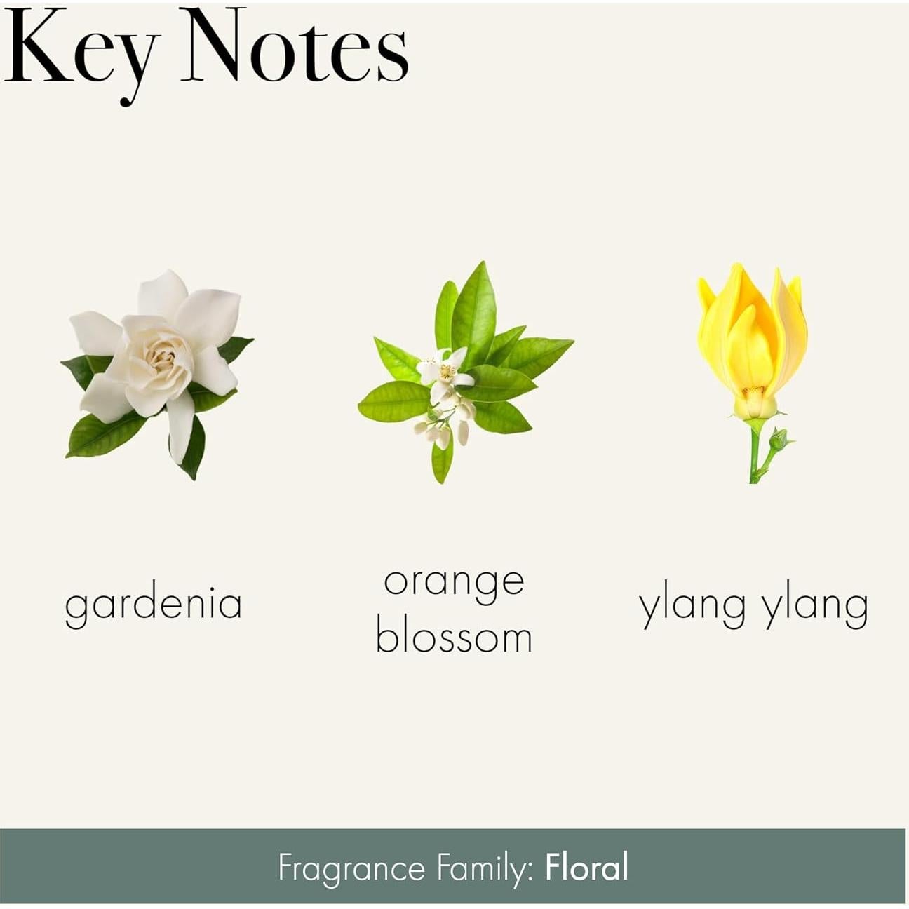 Jabón Líquido LAFCO Gardenia Cortada 340 g - Hipoalergénico