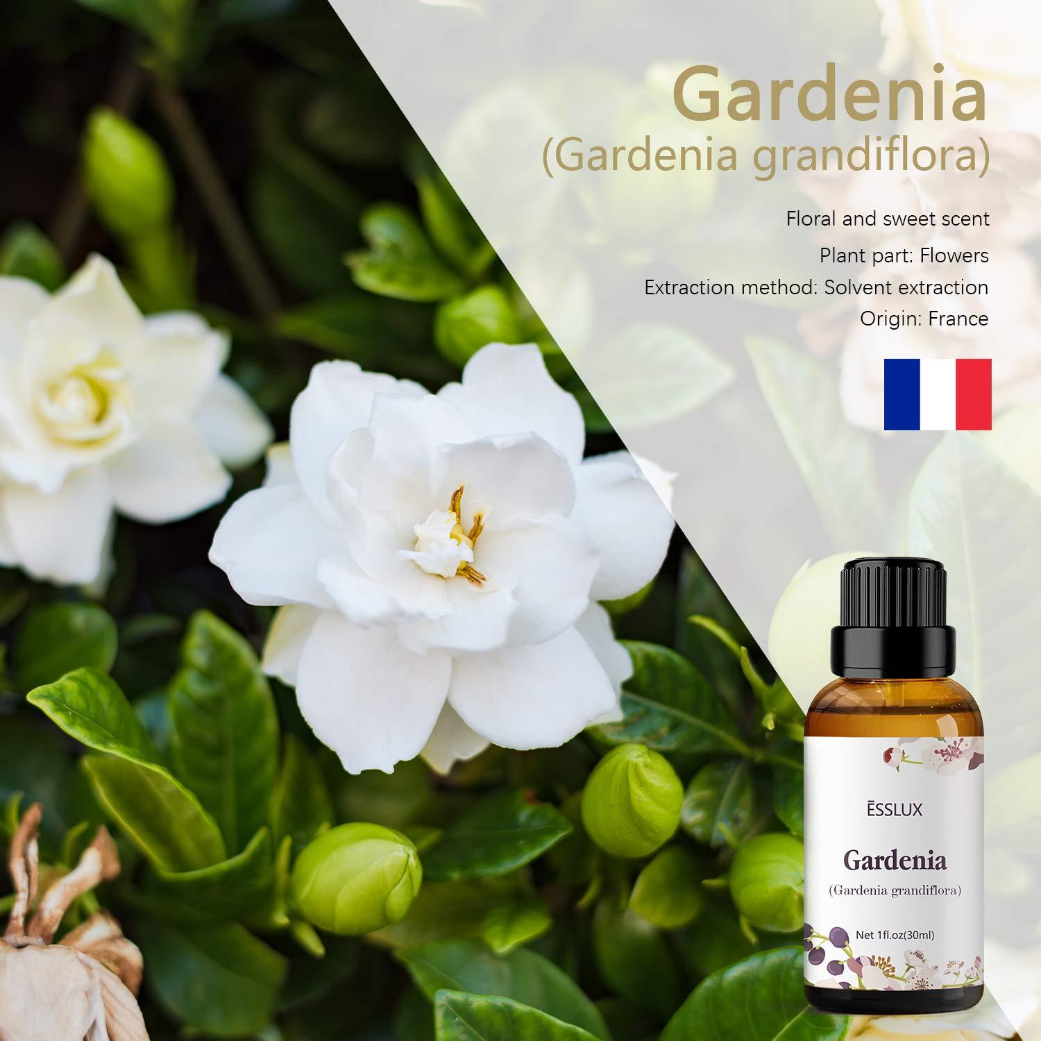 Aceite Esencial de Gardenia ESSLUX 30 ml - Aromaterapia Premium