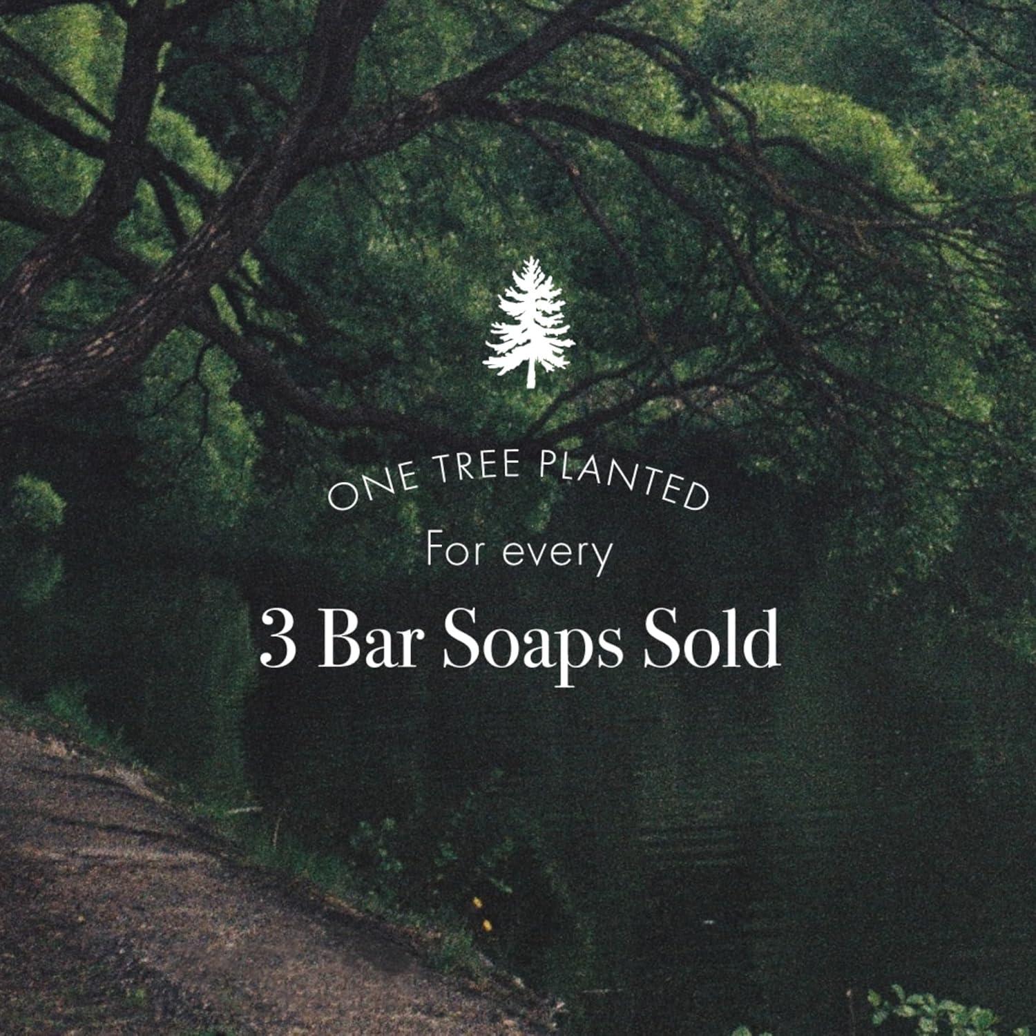 Jabón de Barra LAFCO Nueva York Gardenia Cortada Fresca 198 g - Ultra Hidratante Natural