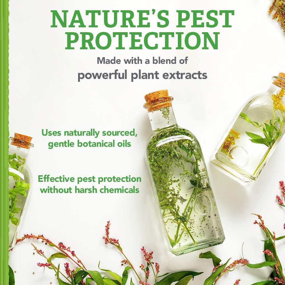 Collar Repelente de Pulgas y Garrapatas Natural Care+ 50.8 cm