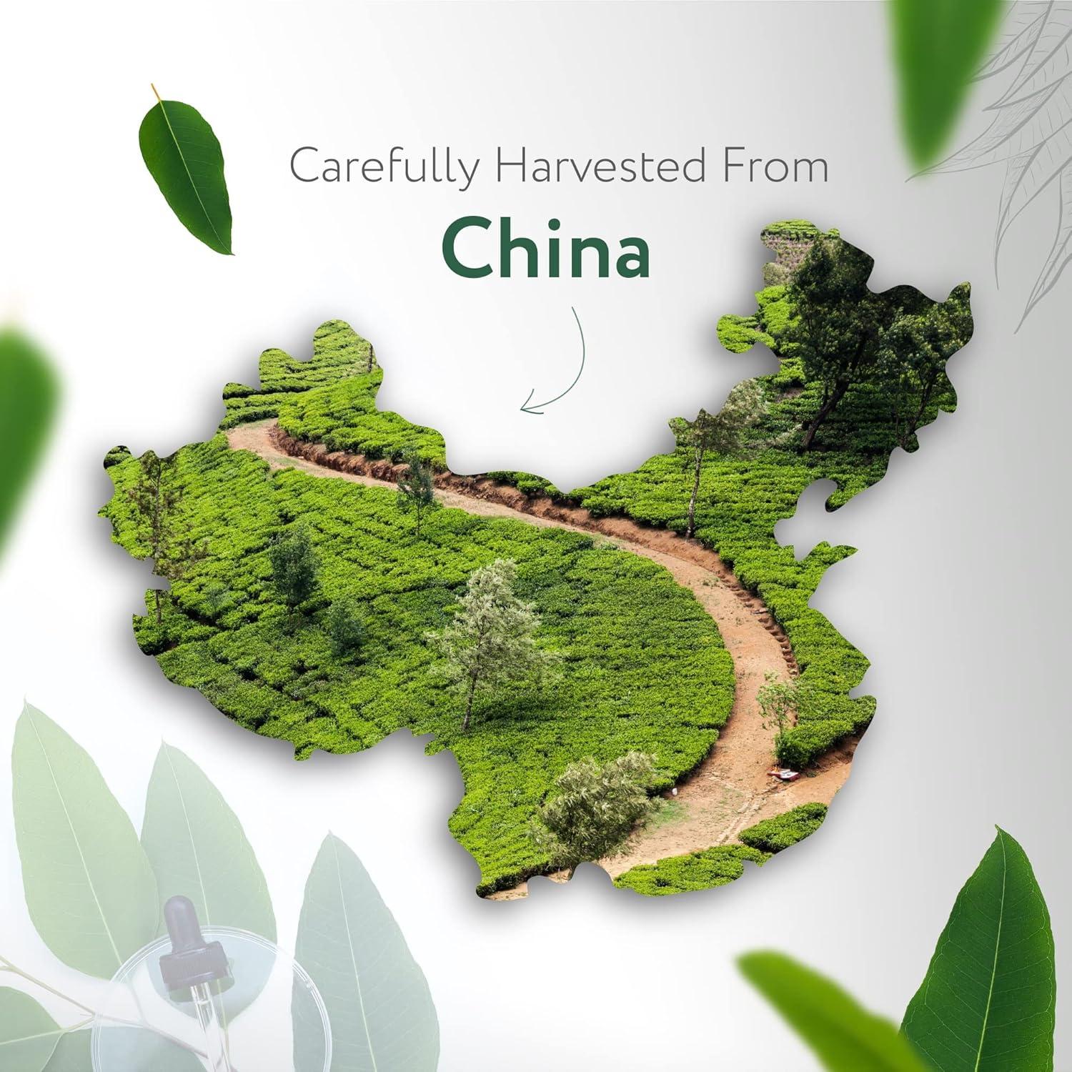 Aceite Esencial de Eucalipto Orgánico HBNO 120ml - Certificado USDA