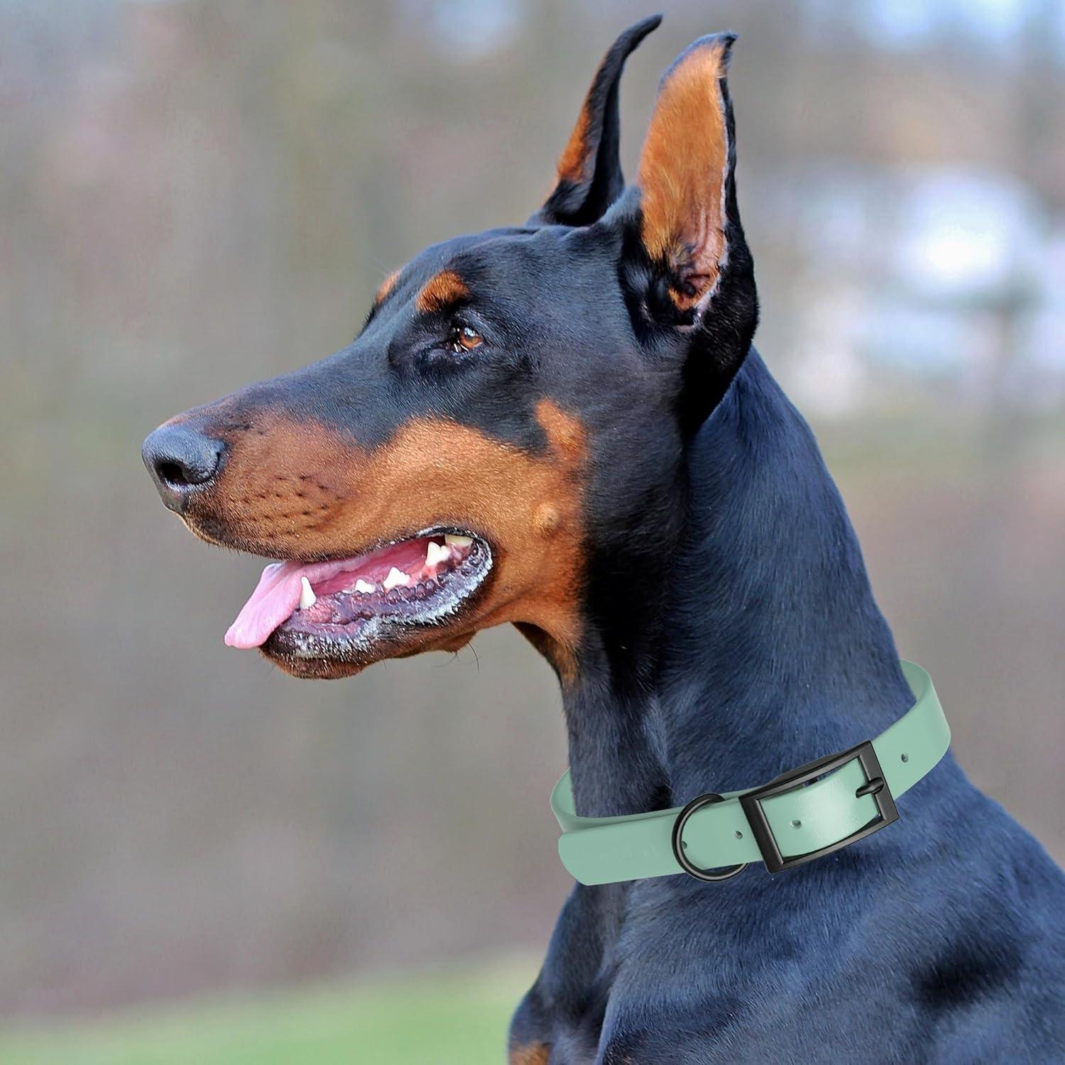 Collar de Perro Impermeable Dogline Biothane Verde Salvia 1.59 cm