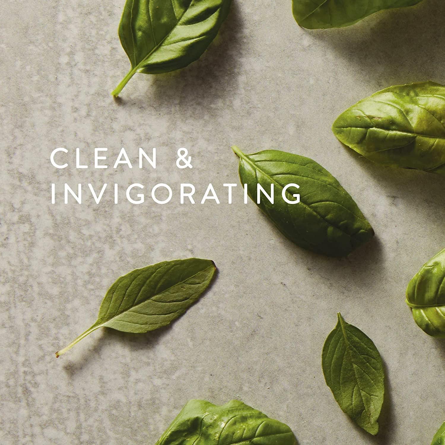 Recarga Jabón de Manos Thymes Albahaca Fresca 724 ml - Nutritivo