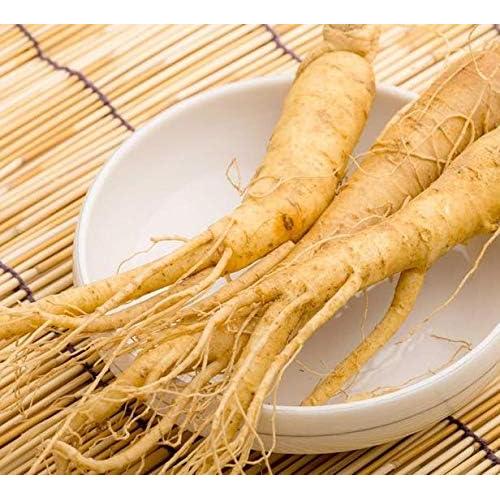 Suplemento Adaptógeno 1Bot - Ginseng, Maca, Rhodiola, 85g
