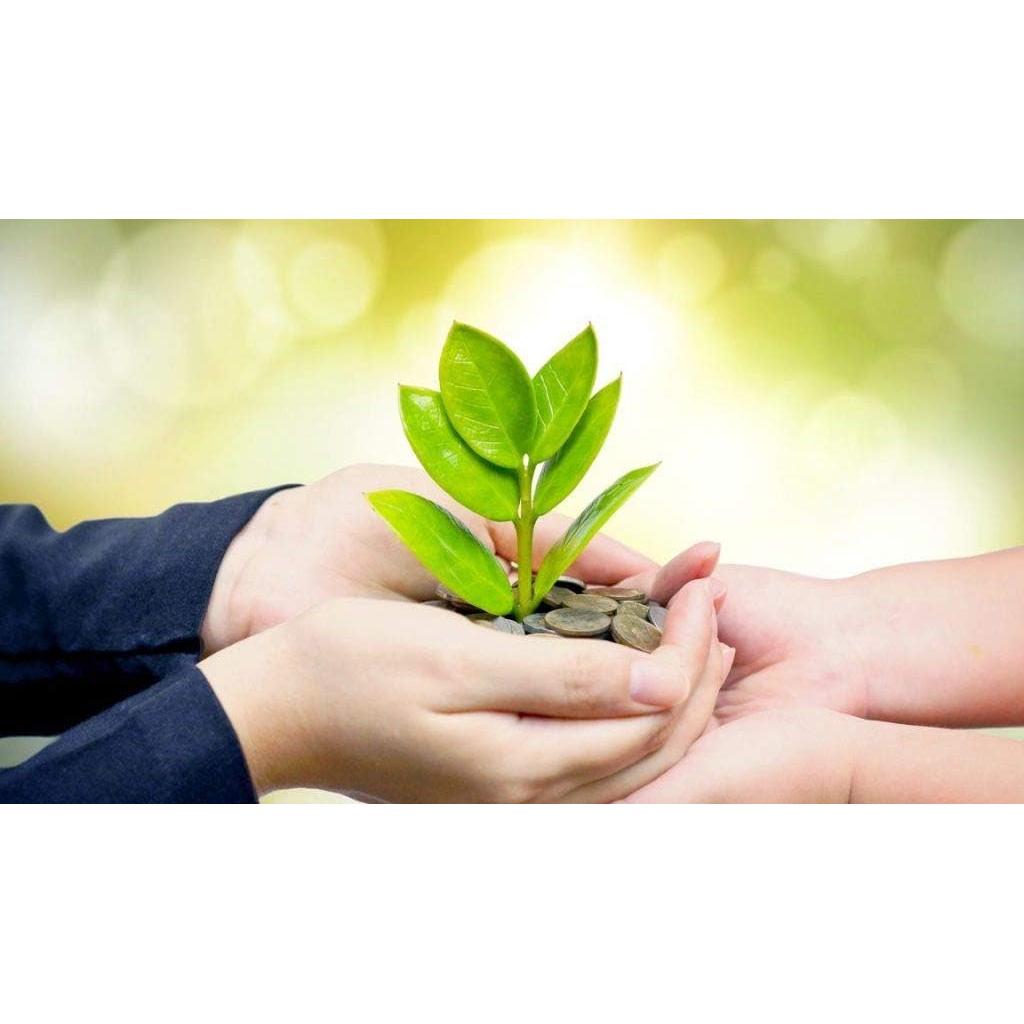 Suplemento Adaptógeno 1Bot - Ginseng, Maca, Rhodiola, 85g