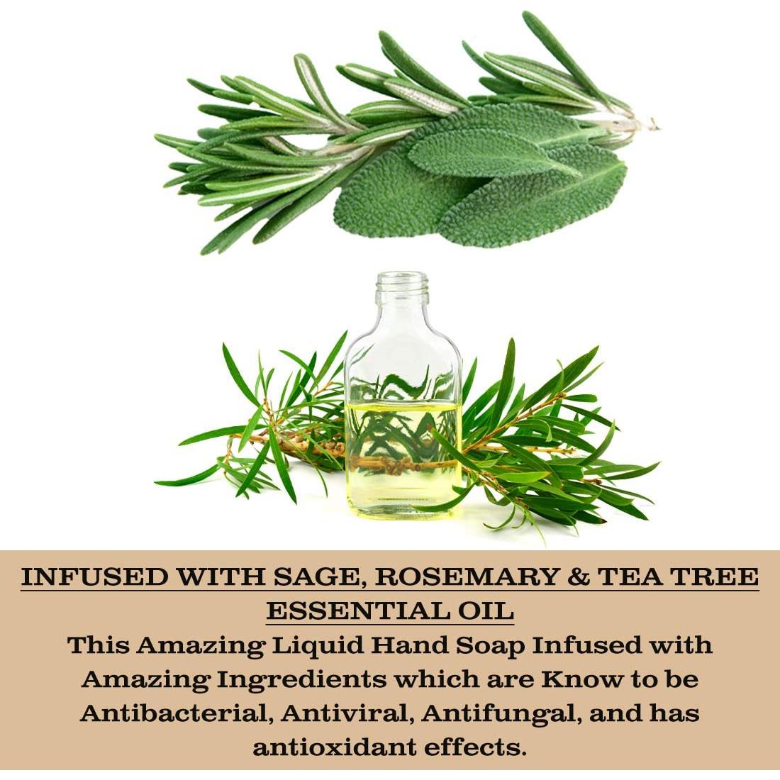 Jabón Antibacteriano Líquido Olivia Care 549 ml - Salvia y Árbol de Té