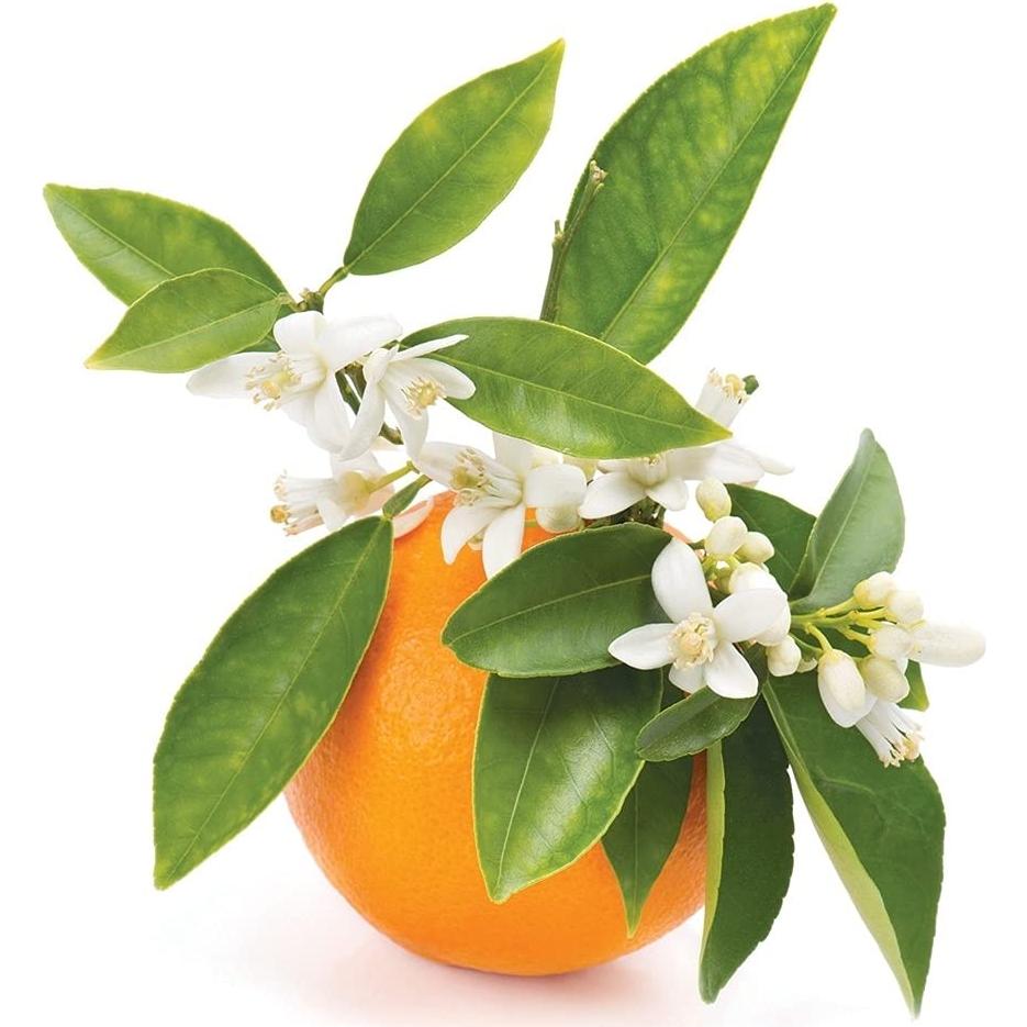 Agua Hidrosol de Neroli 240 ml Organic Pure Oil - Tónico Facial