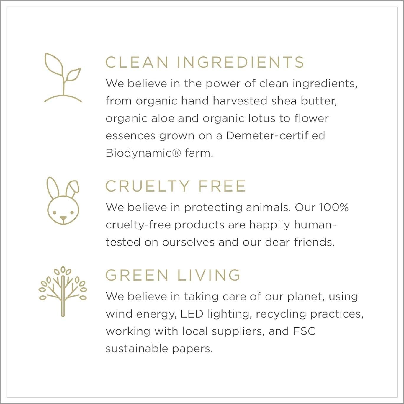 Bálsamo Reafirmante Zents 37.5 ml con Manteca de Karité y Coco