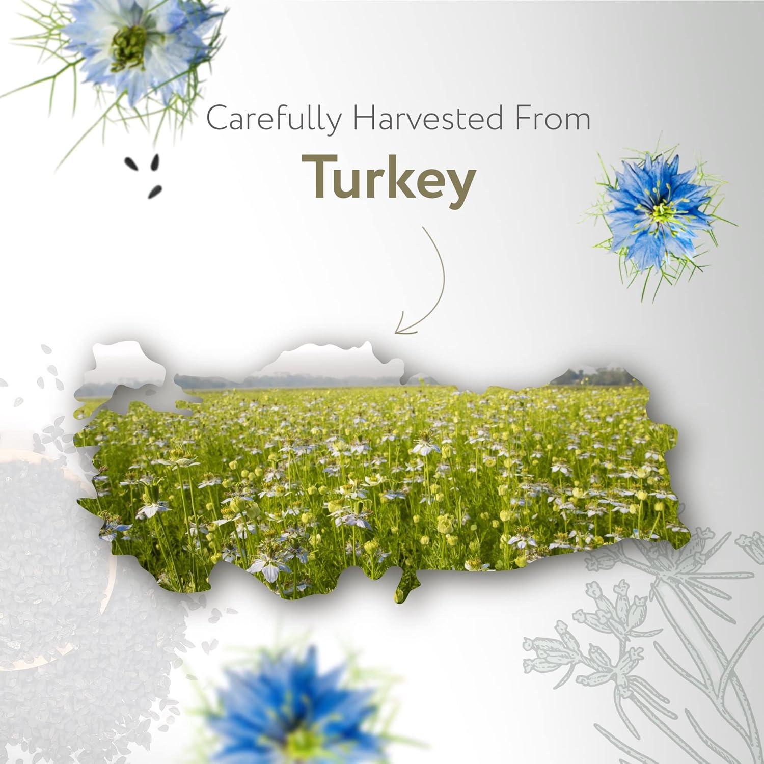 Aceite de Semilla Negra Orgánico HBNO 120ml Prensado en Frío