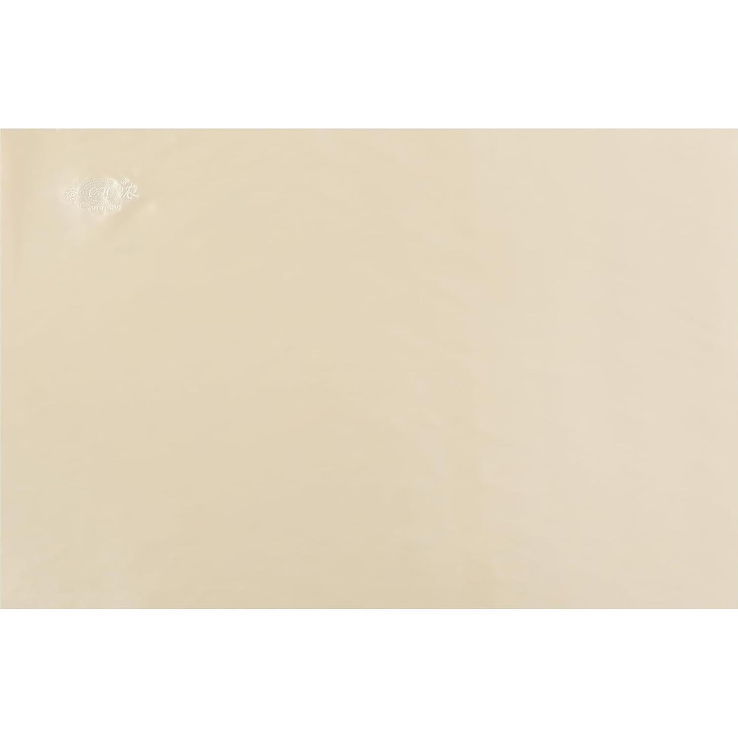 Funda de Almohada de Seda de Morera CANNONG Reina Champán 50.8x76.2cm