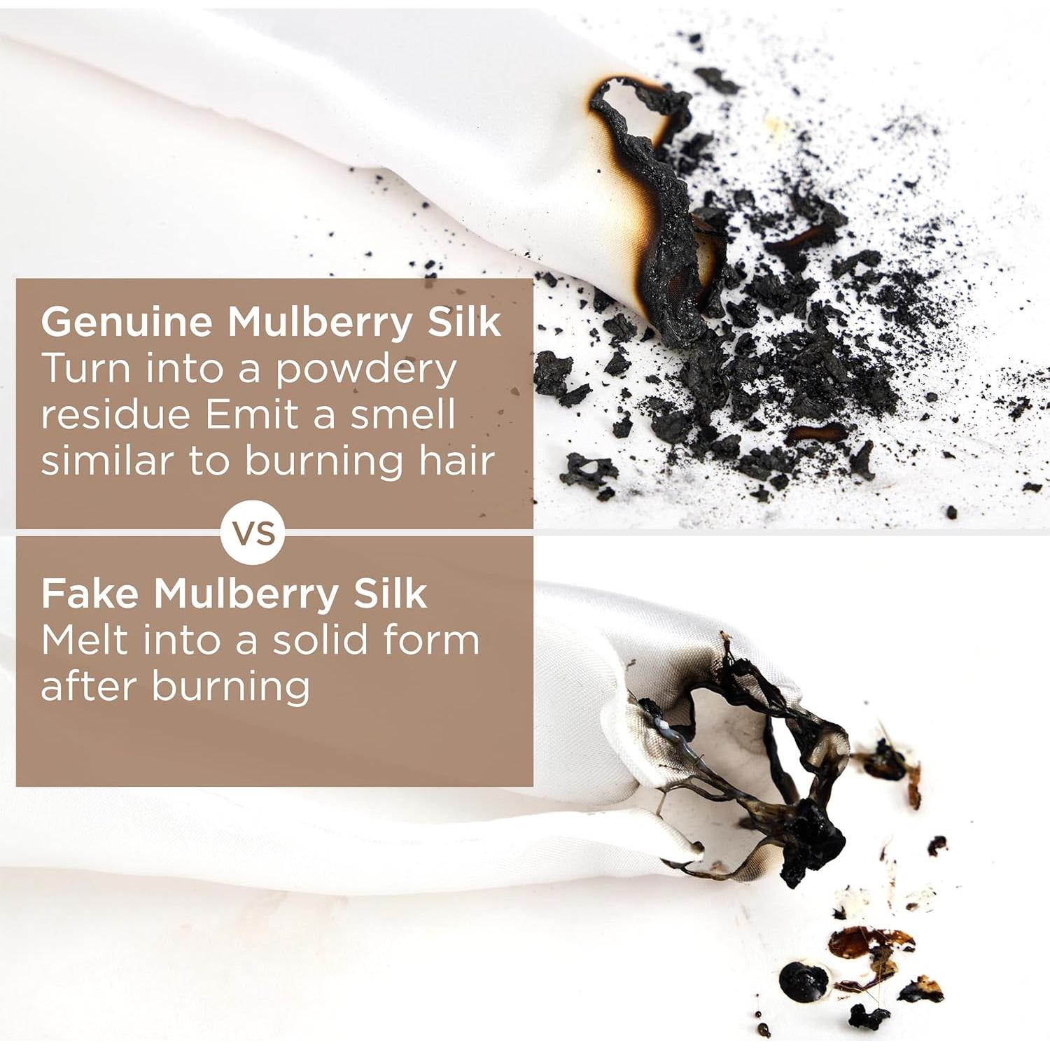 Bedsure 100% Mulberry Silk Pillowcase for Hair and Skin, Canal Blue Silk Pillow Case with Hidden Zipper, Gifts for Girls, Standard Size Single Pack,20x26 Inches