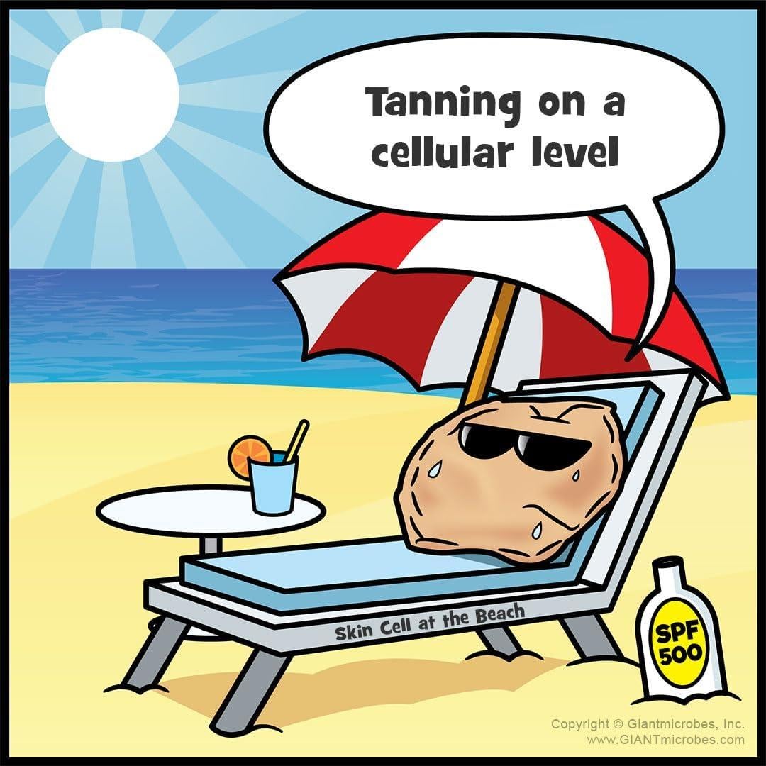 Peluches educativos GIANTmicrobes Célula de Piel 10 cm