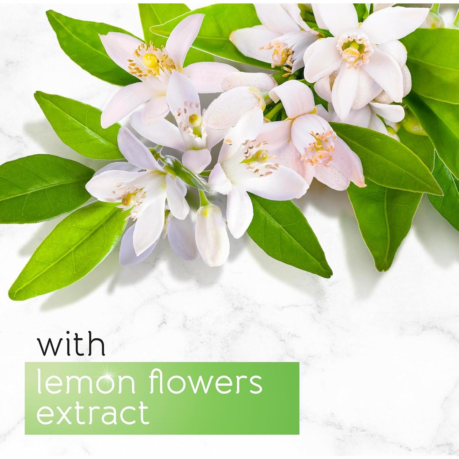 Jabón Pears Oil Clear 125 g con Extracto de Flor de Limón