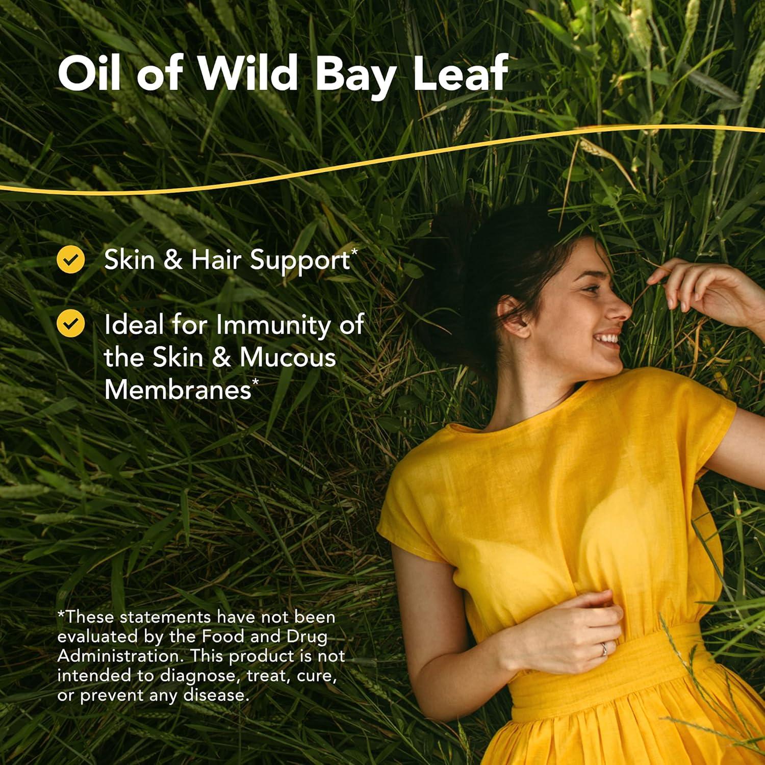 Aceite de Laurel Silvestre North American Herb & Spice 30 ml - Orgánico para Piel y Cabello