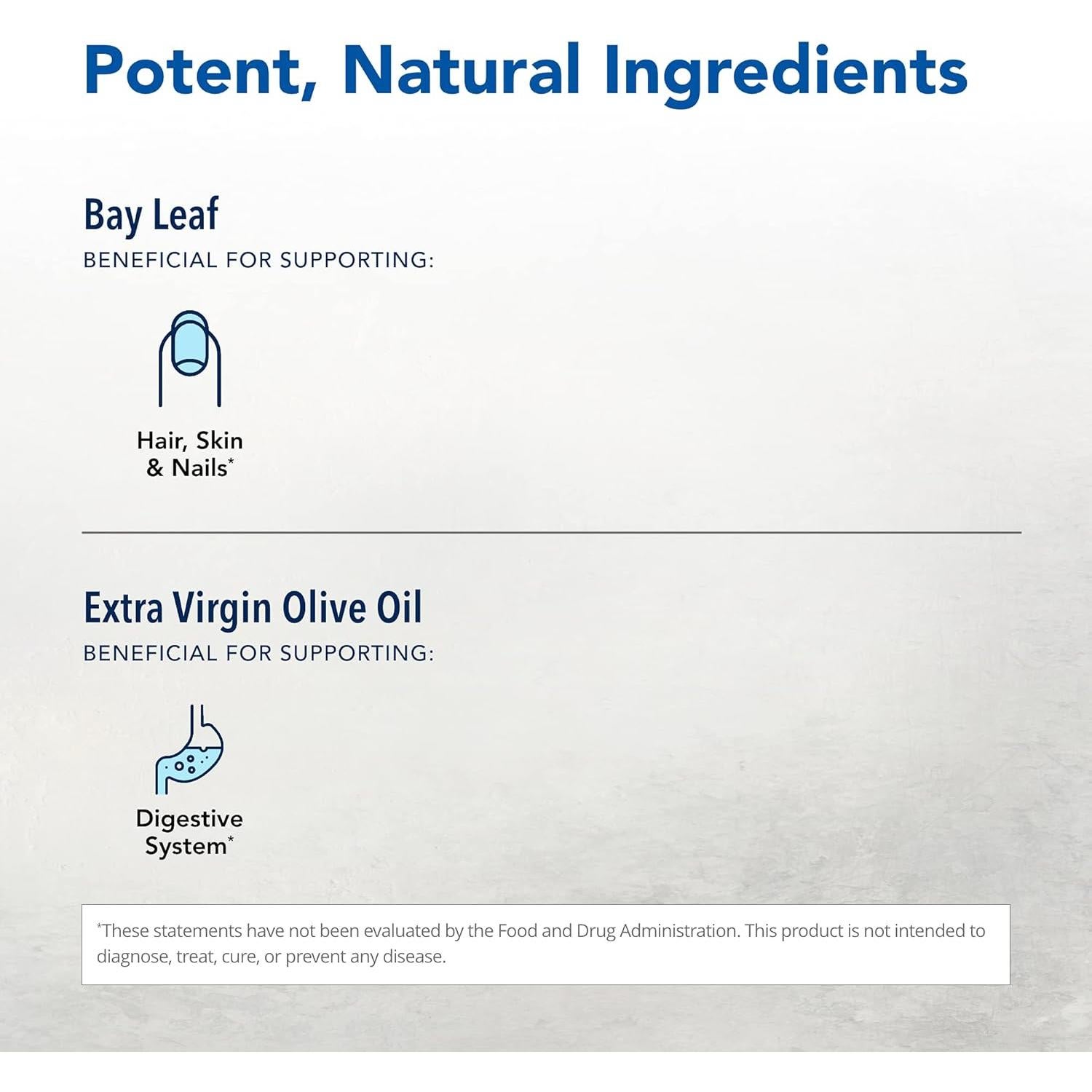 Aceite de Laurel Silvestre North American Herb & Spice 30 ml - Orgánico para Piel y Cabello