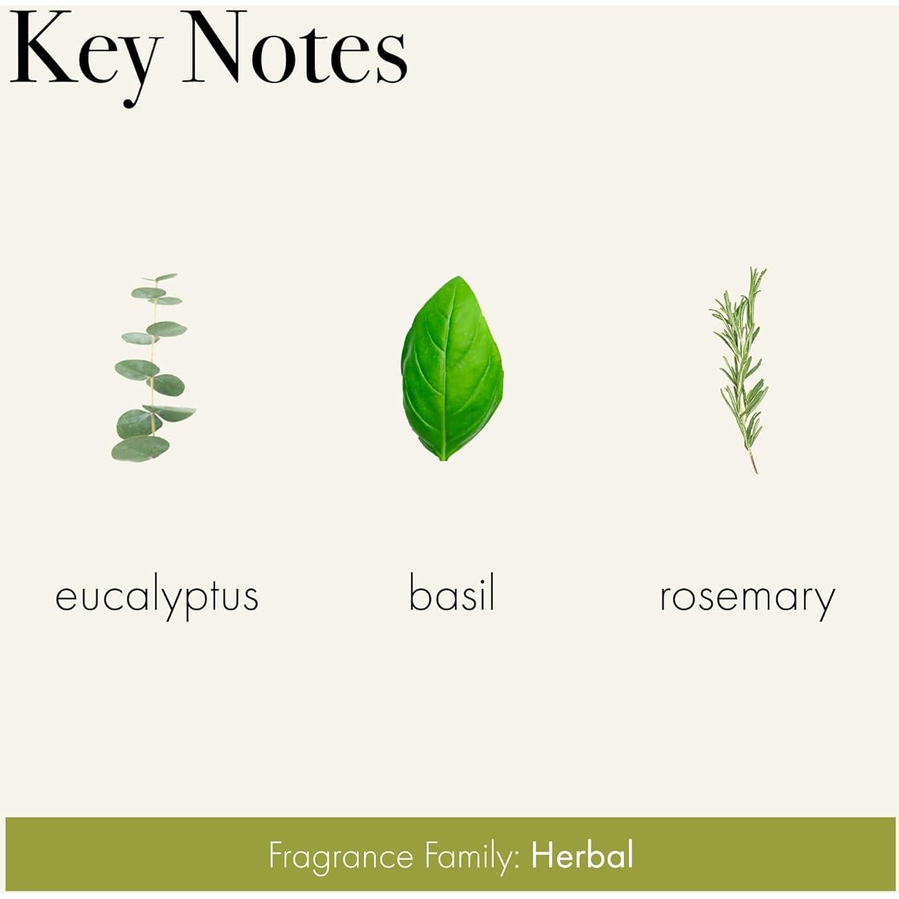 Jabón de Barra LAFCO Nueva York Romero Eucalipto 198 g Natural