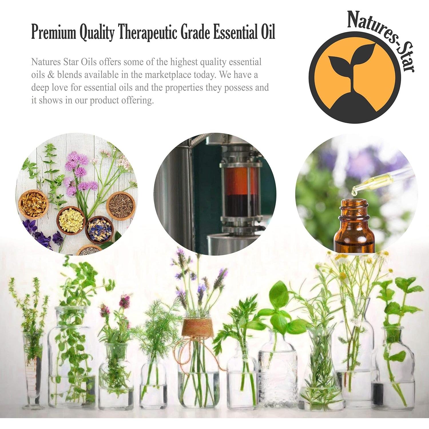 Aceite Esencial de Eucalipto 473ml Natures Star - Grado Terapéutico