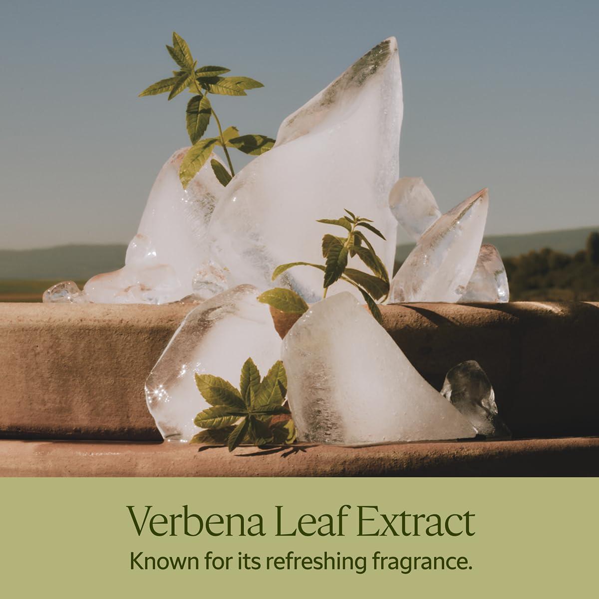 Jabón Líquido de Manos y Cuerpo L'Occitane Verbena 500 ml