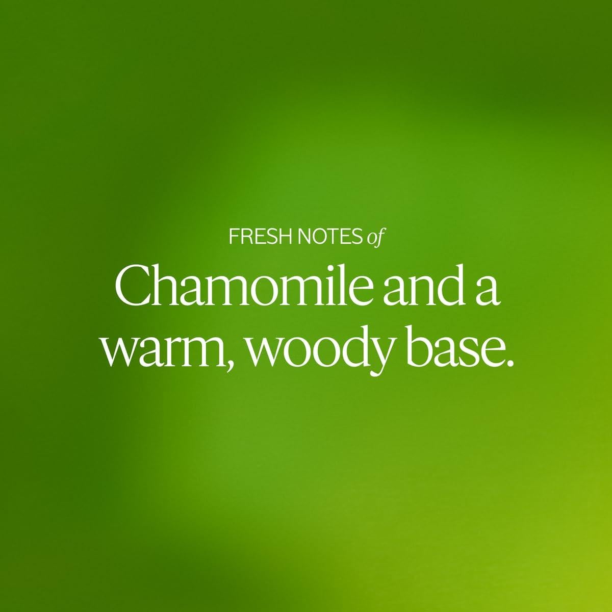 Crema de Manos L'OCCITANE 29.57 ml Nutre y Protege Secas