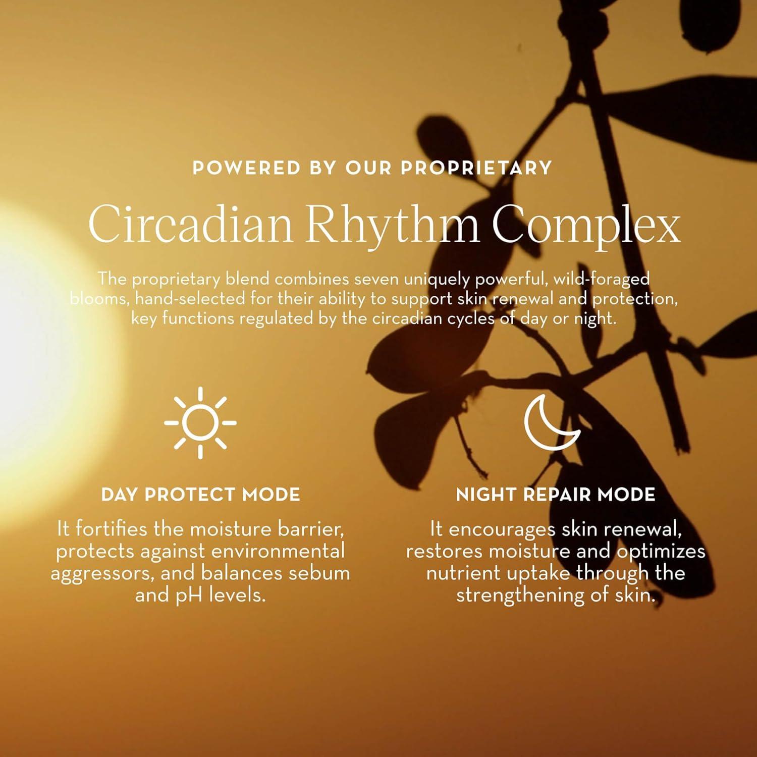 Crema Nocturna Hidratante Furtuna Skin 50 ml - Vegana y EWG