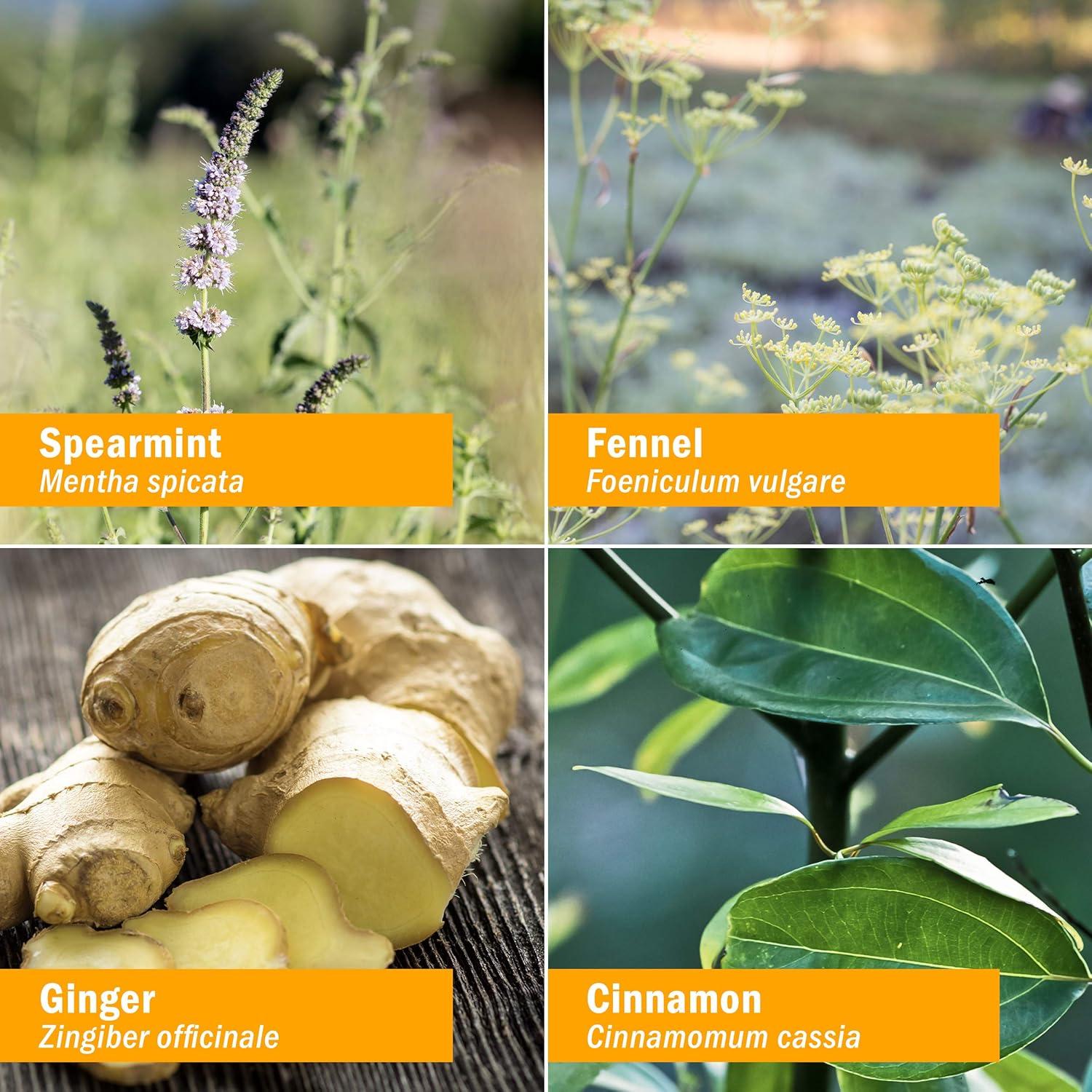 Spray Refrescador de Aliento Orgánico Herb Pharm 15ml