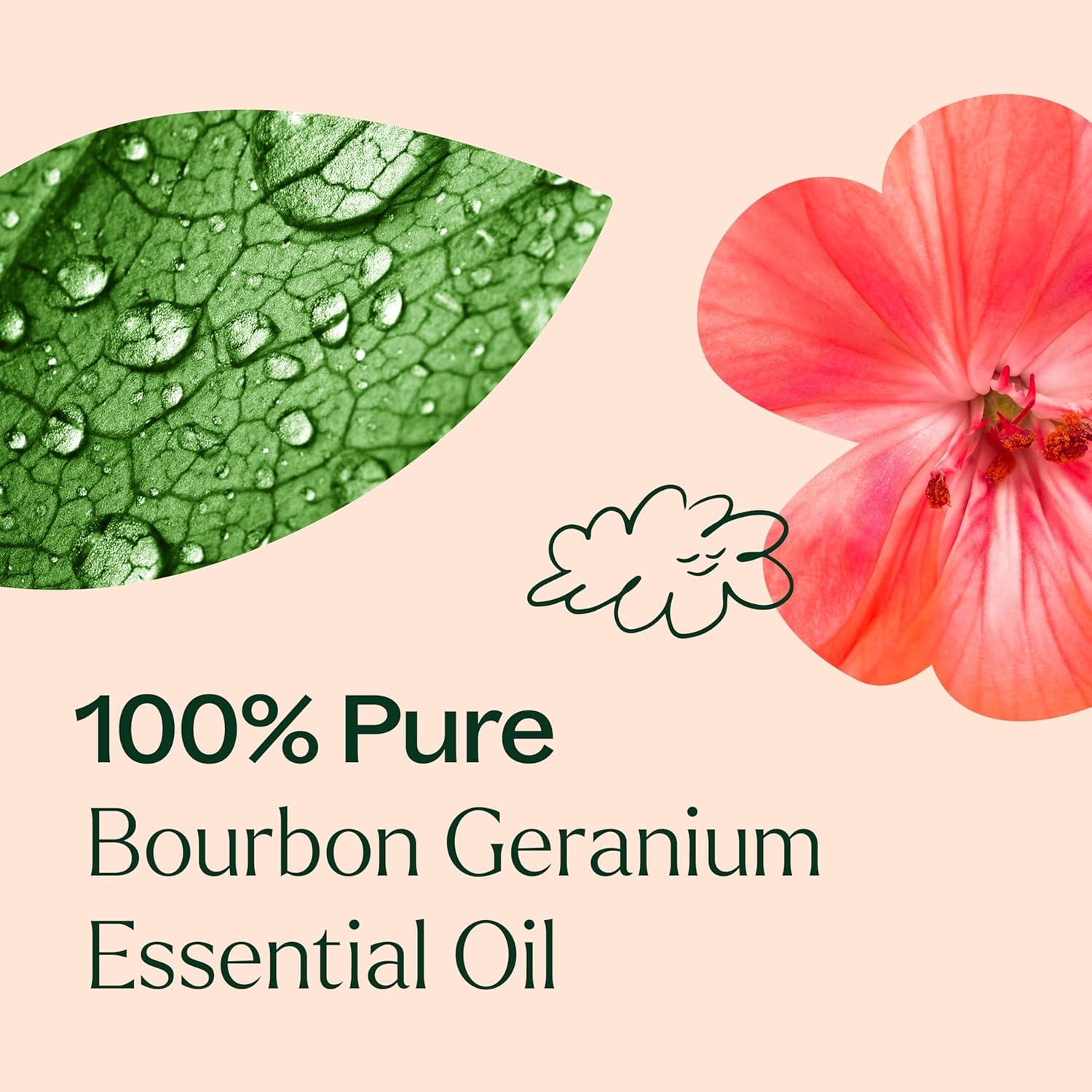 Aceite Esencial de Geranio Bourbon 100% Puro 10 mL Plant Therapy