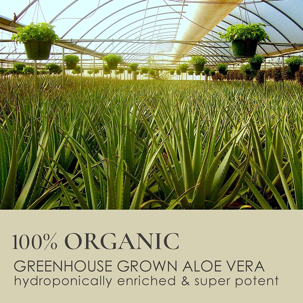 Kit para el Acné LEROSETT - Limpiador y Máscara Orgánica