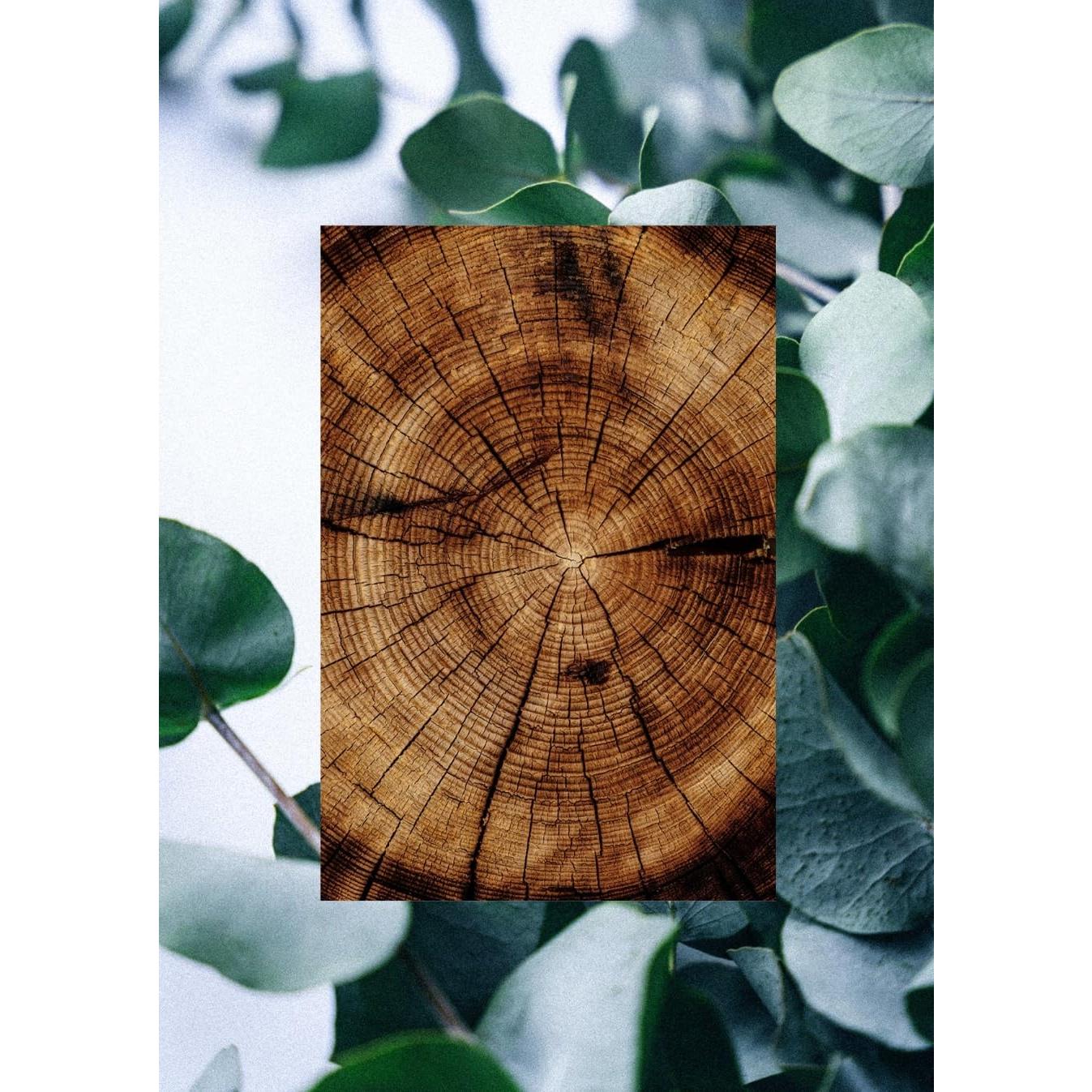 Jabón Corporal Premium Hombre Eucalipto 709ml Raw Sugar