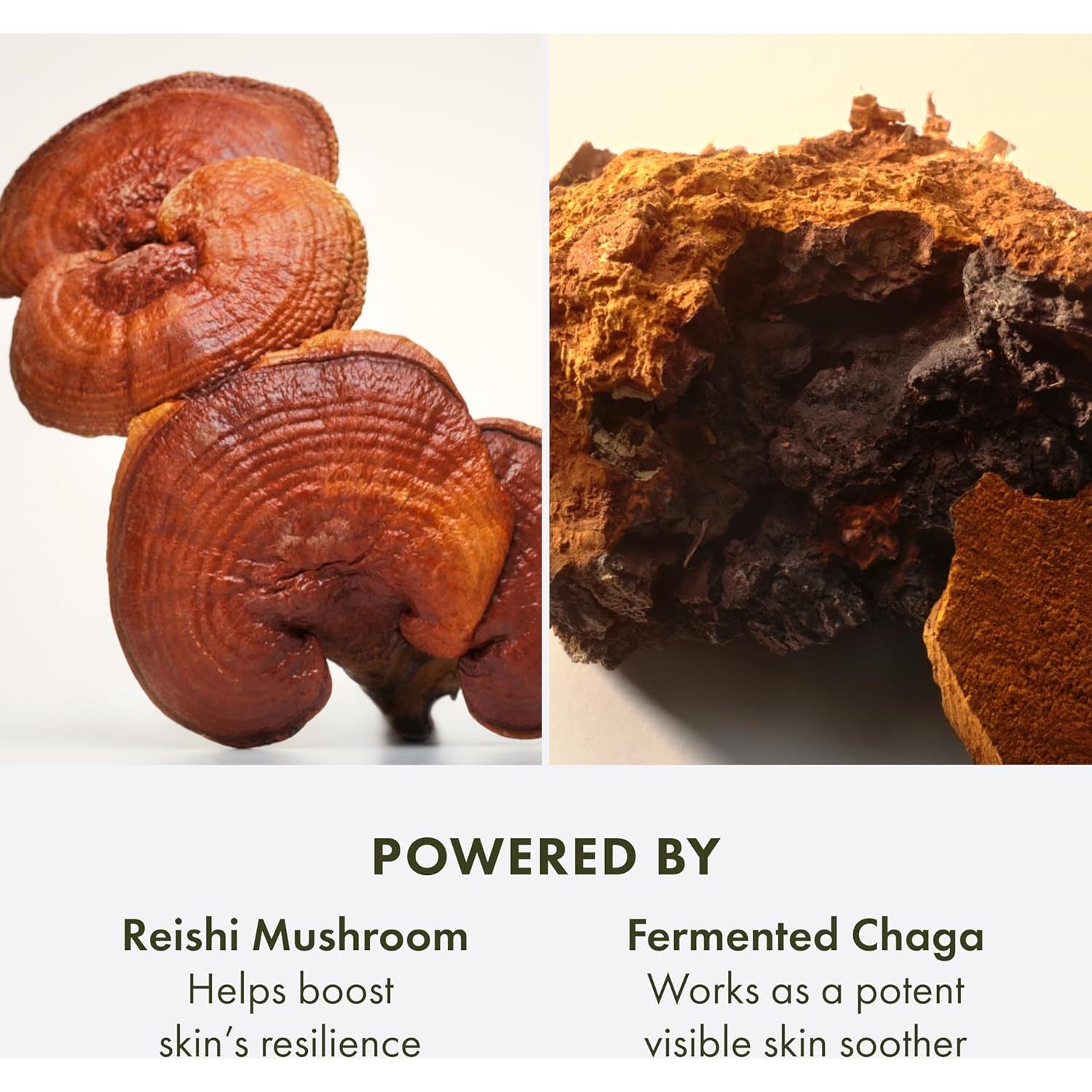 Loción Tratamiento Calmante Origins Mega-Hongo 198.45 ml