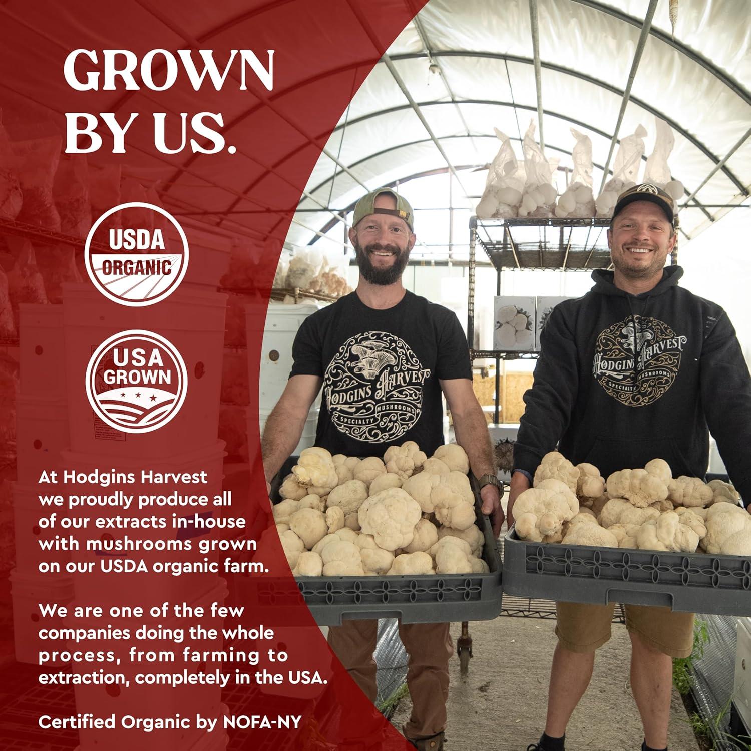 Tintura Orgánica de Reishi Hodgins Harvest 118 ml Doble Extracto