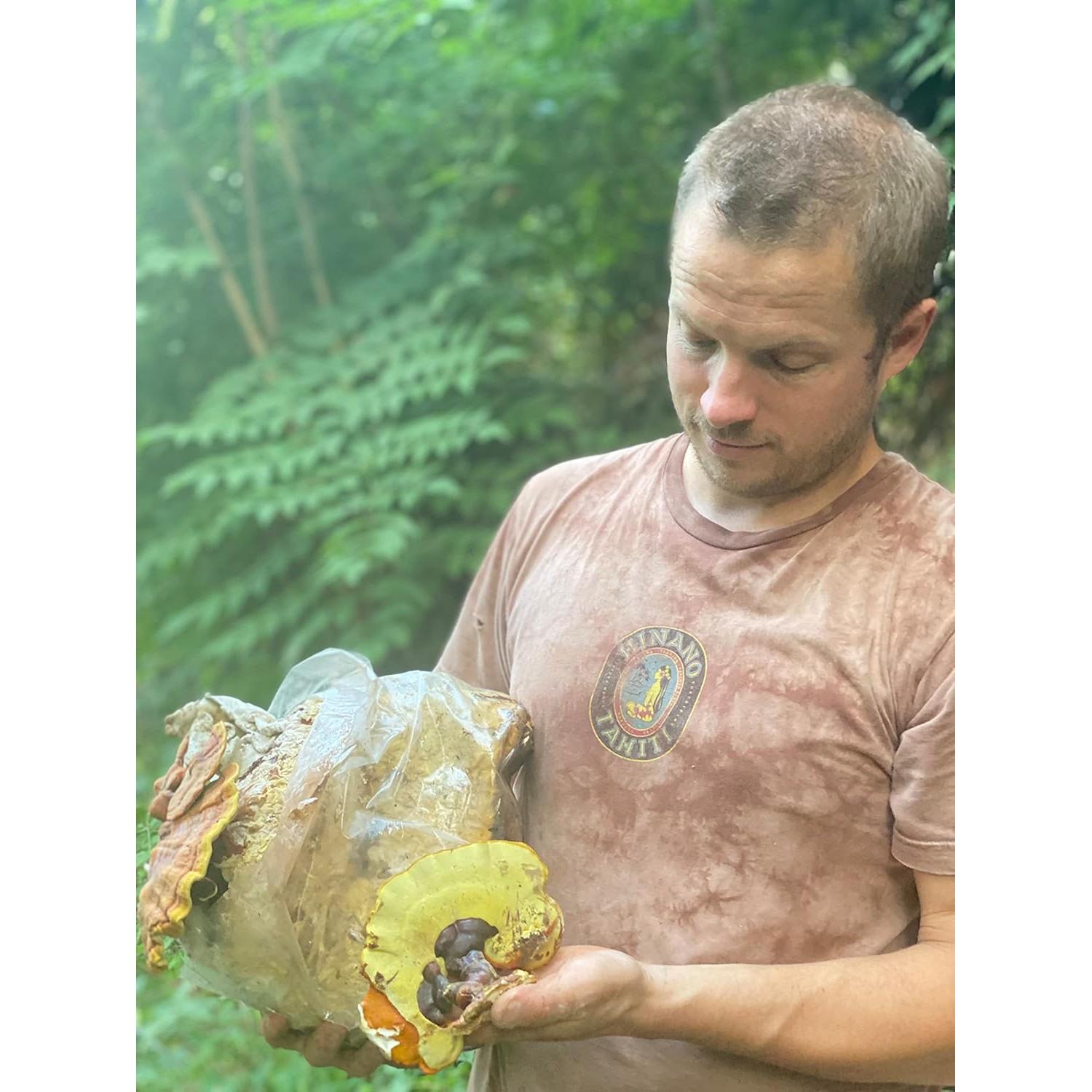 Tintura Orgánica de Reishi Hodgins Harvest 118 ml Doble Extracto